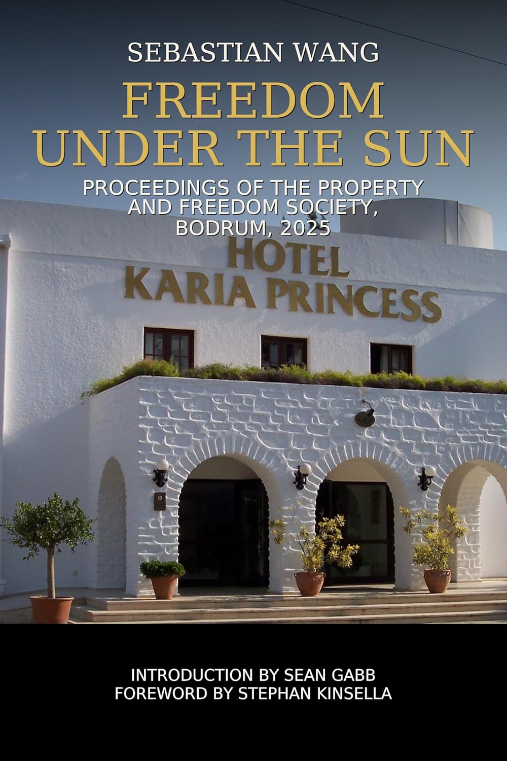 Freedom Under the Sun, Gabb, Wang, cover